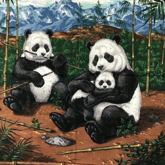 Panda Bear Quilt Fabric Panel by VIP Cranston Village bamboo baby pandas - Picture 2 of 6